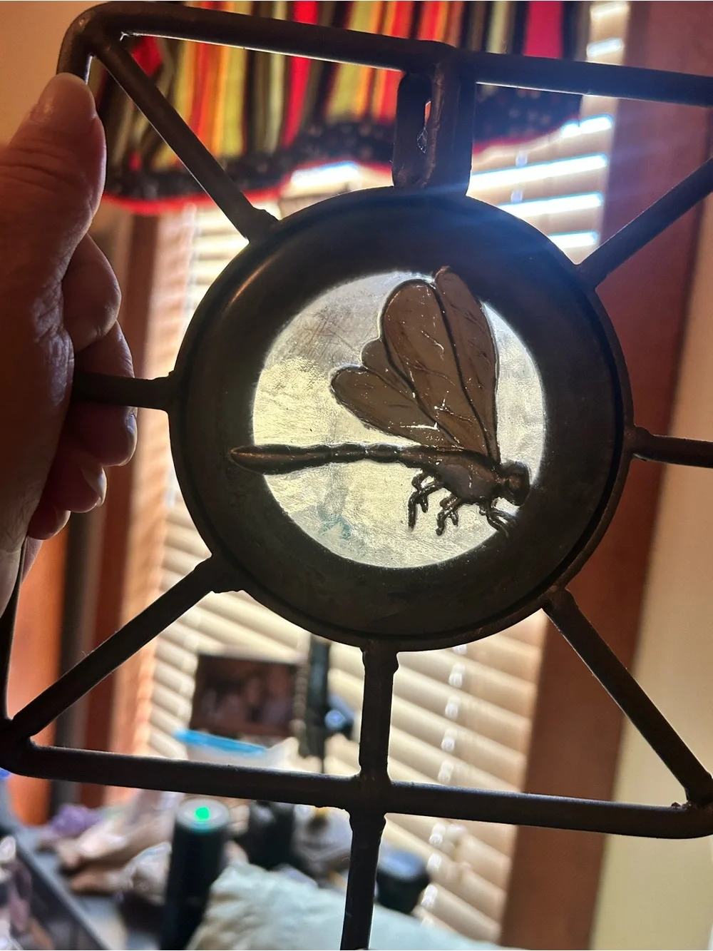 Rustic Dragonfly Print Under Glass Cast Iron Wall Hook Accent Foyer Garden Bath